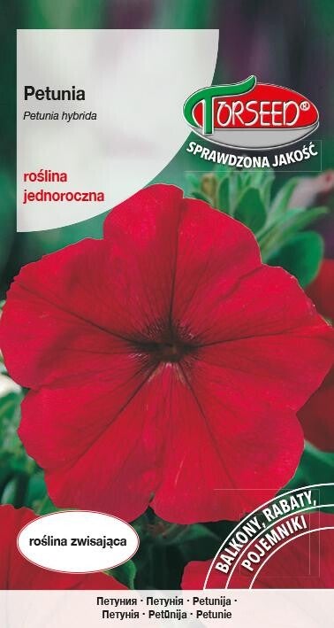 Petunia ogrodowa amarantowa (0,1gr) Torseed