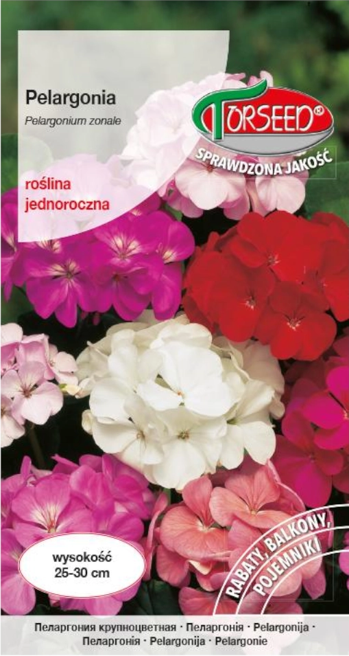 Pelargonia mieszanka (10x) Torseed
