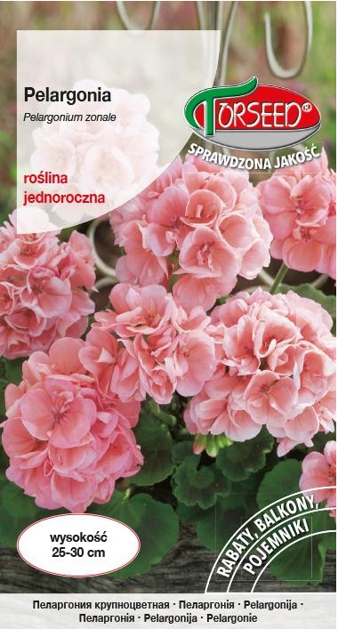 Pelargonia różowa (10x) Torseed