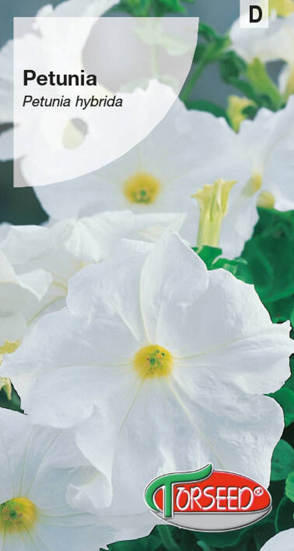 Petunia ogrodowa biała (0,02gr) Torseed
