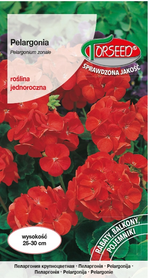Pelargonia czerwona (10x) Torseed