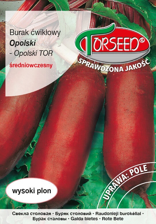 Burak ćwikłowy Opolski (15g) Torseed