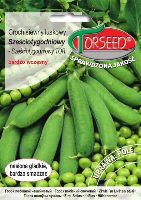 Groch sześciotygodniowy (50g) Torseed