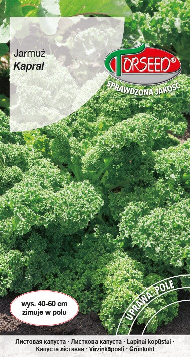 Jarmuż zielony (1g) Torseed