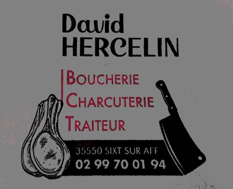 david-hercelin-standard.jpg