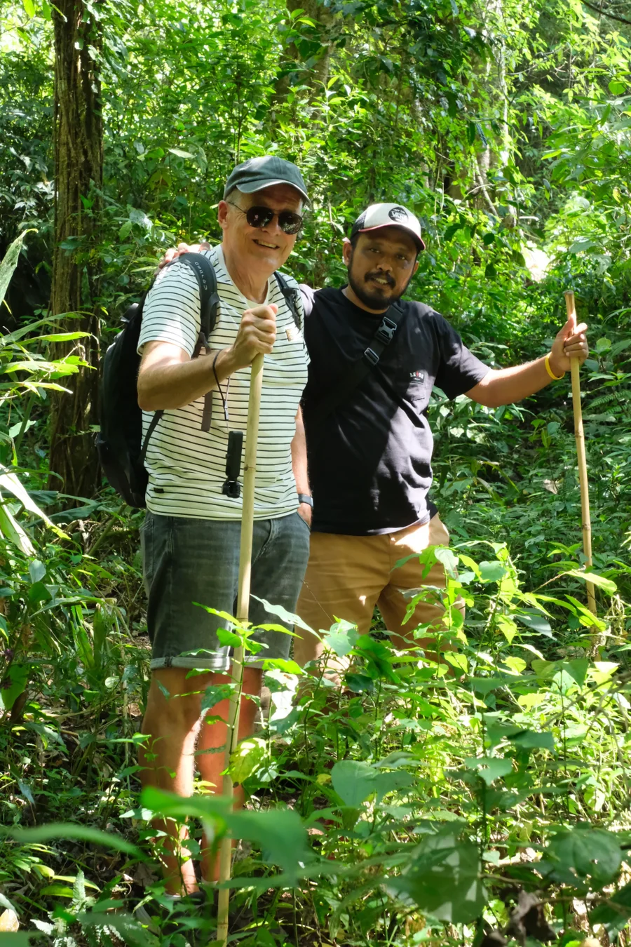 Rondreis door de jungle van Bali met Nederlandstalige gids