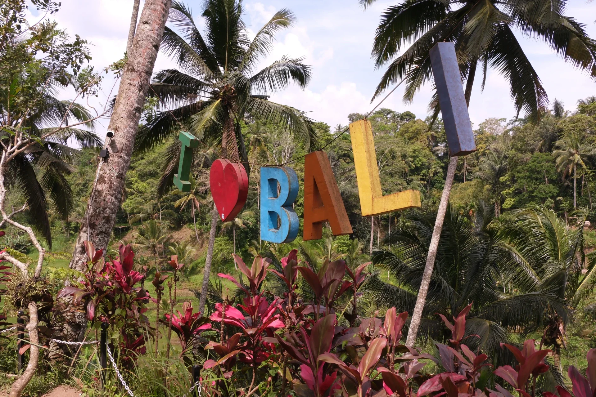 Rijstvelden bij Ubud Bali