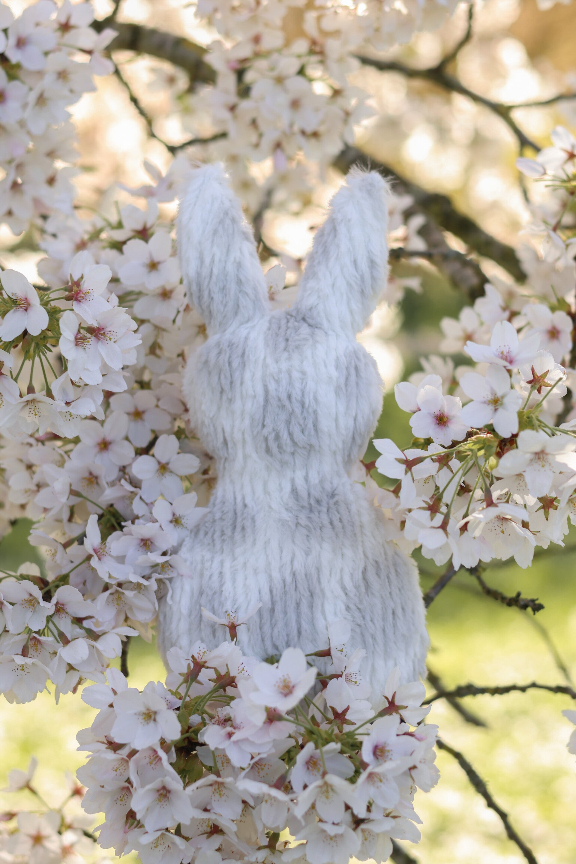 Luxury Bunny | Grey Dots