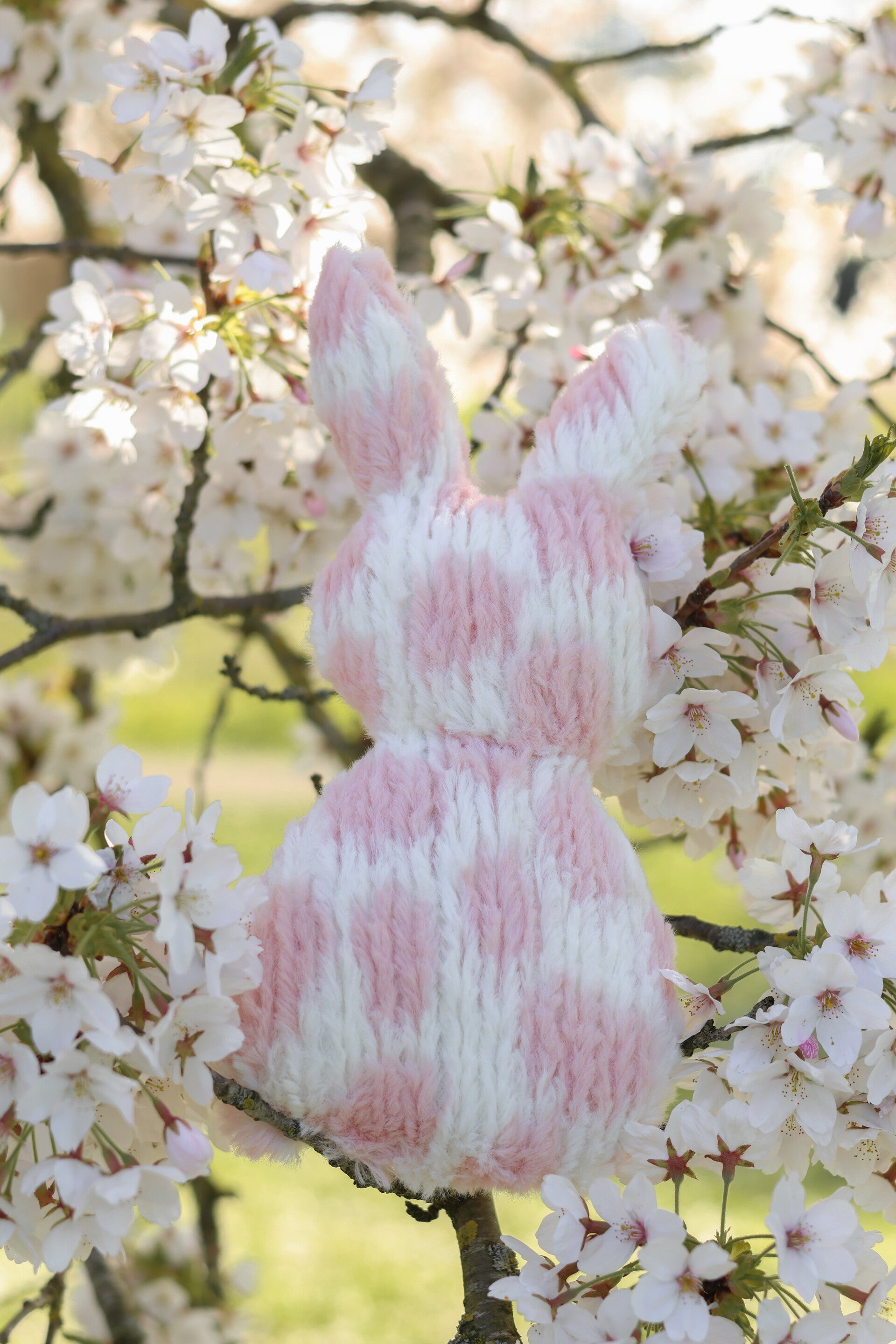 Luxury Bunny | Pink Dots