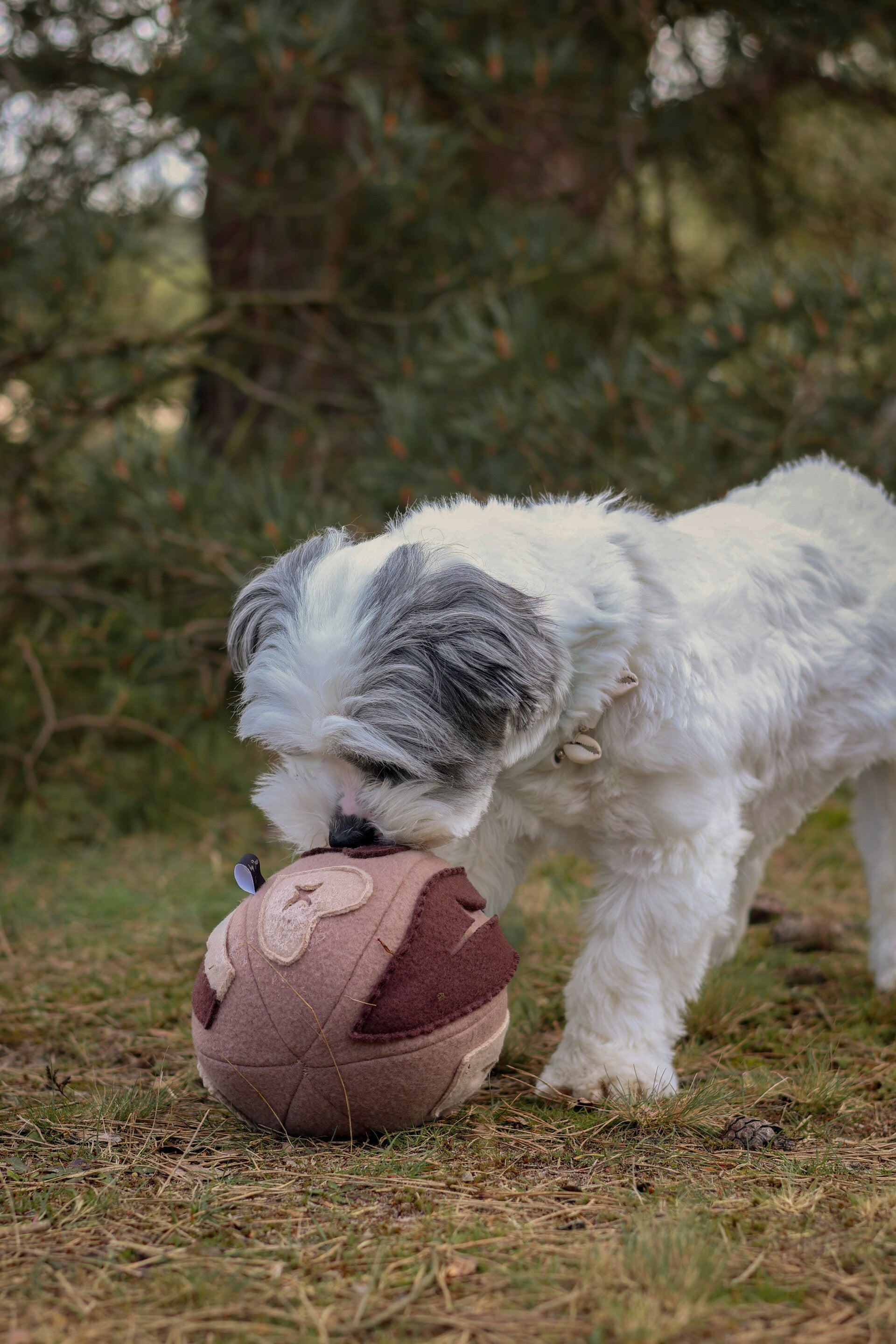 Sniffyball