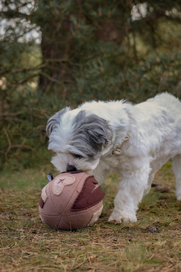 Sniffyball