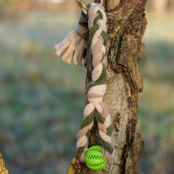 Jaxosnax - Groovy Green