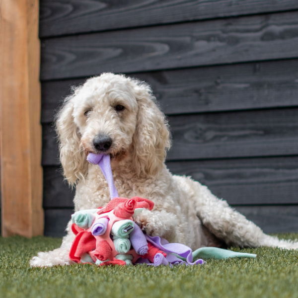 Sniffybomb Large - Pink