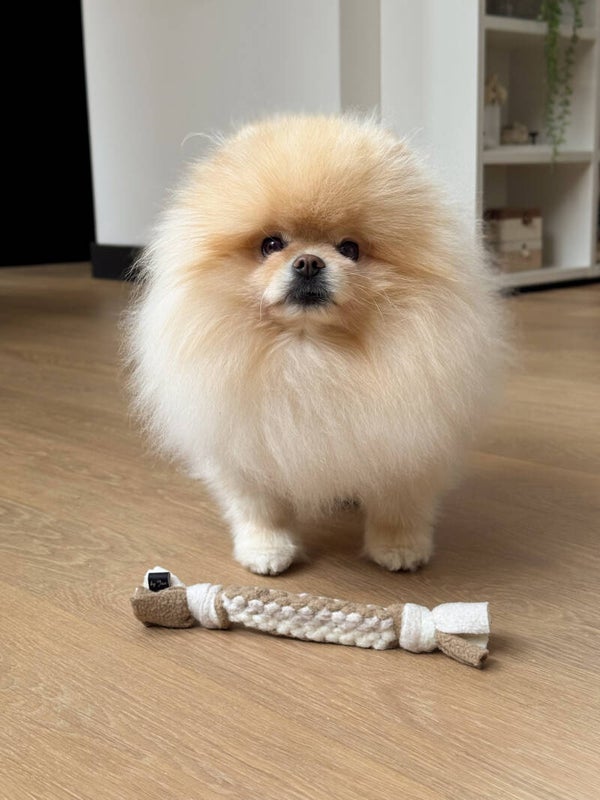 Super Playcube - Small