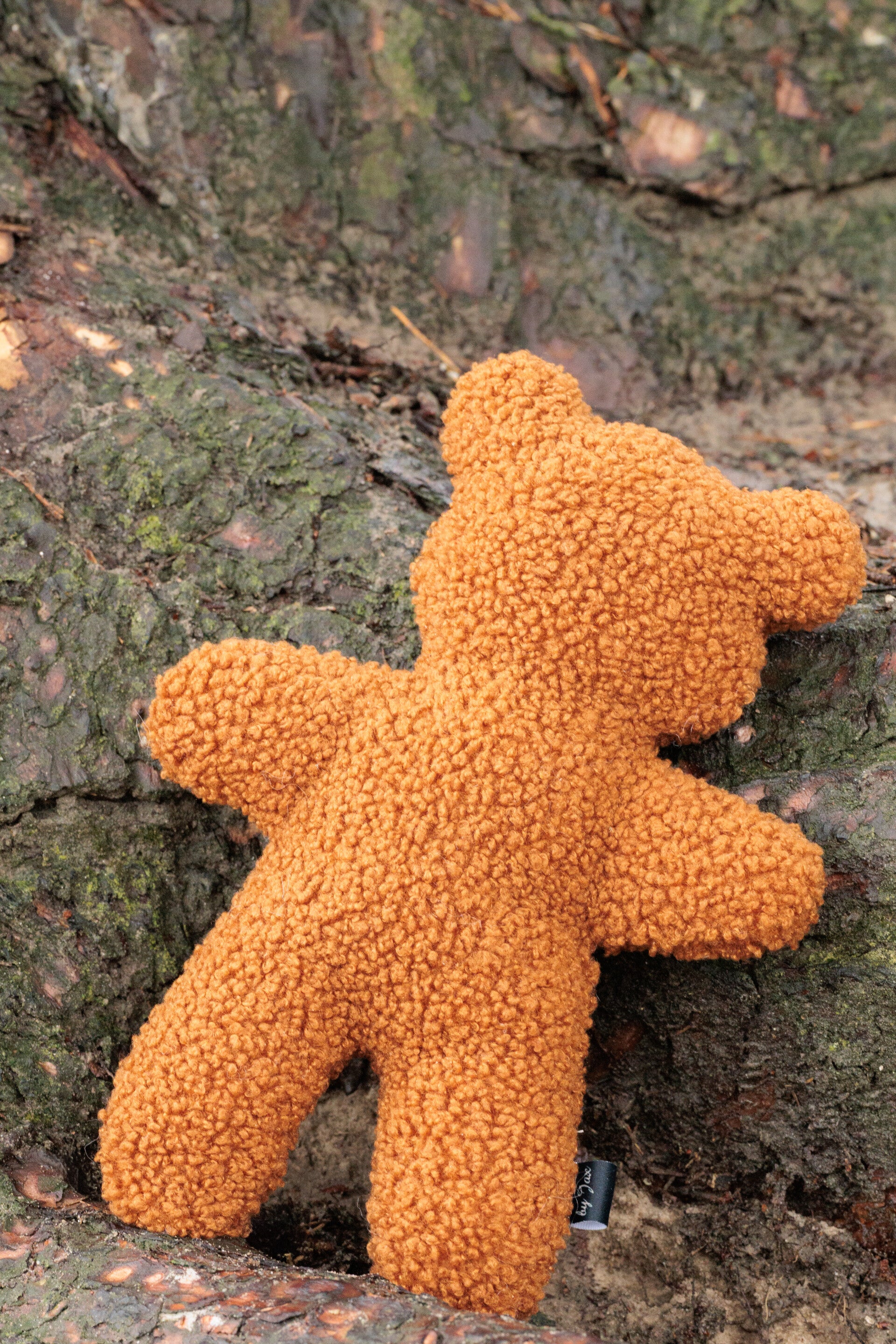 Luxury Bear | Teddy Camel