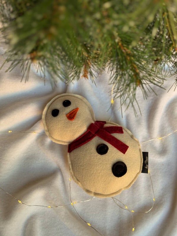 Mr. Snowman