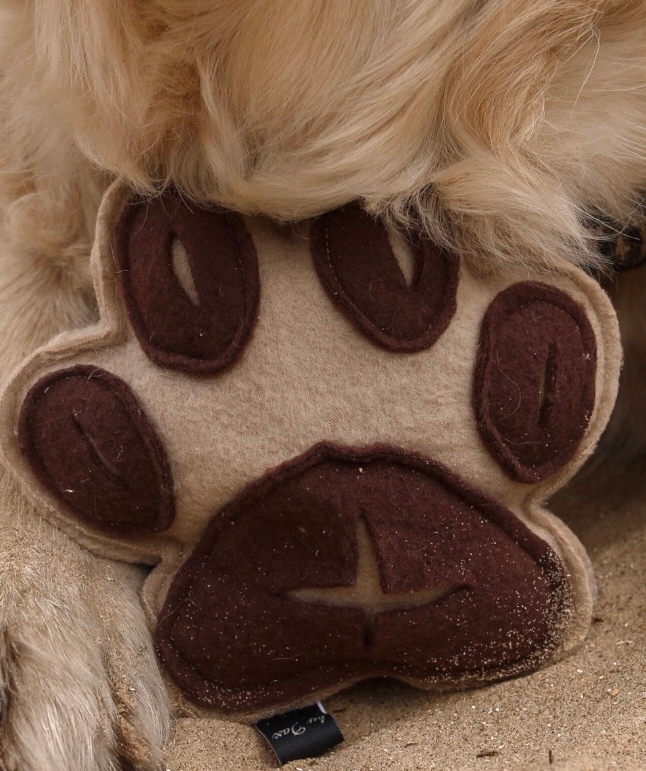 Sniffypaw