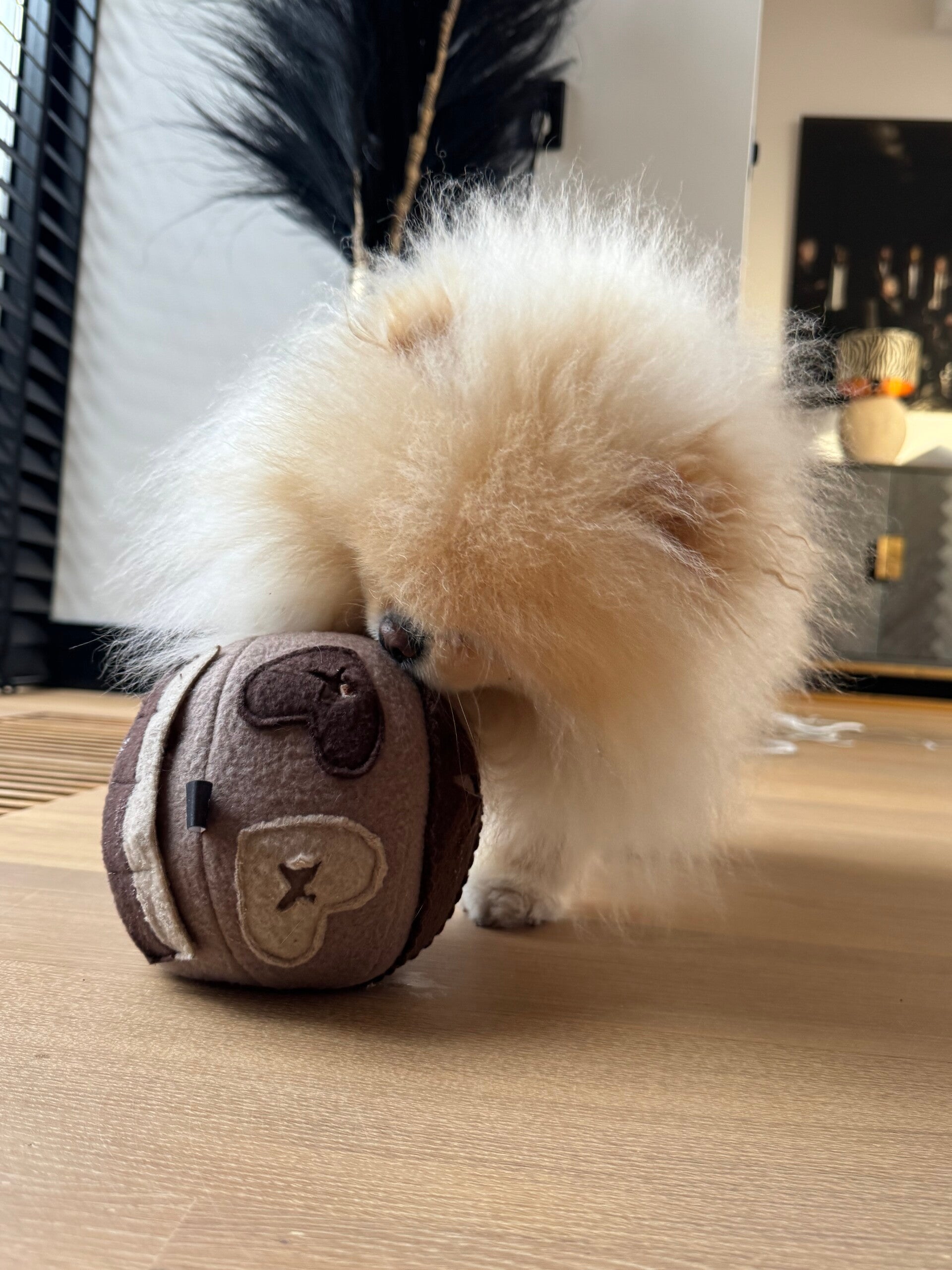 Sniffyball