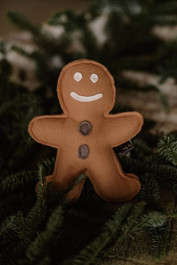 Mr. Ginger