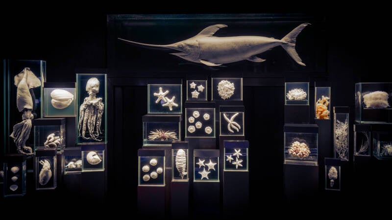 5m2a9120-standard.jpg