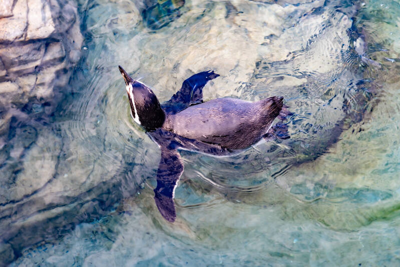 5m2a9578-standard.jpg
