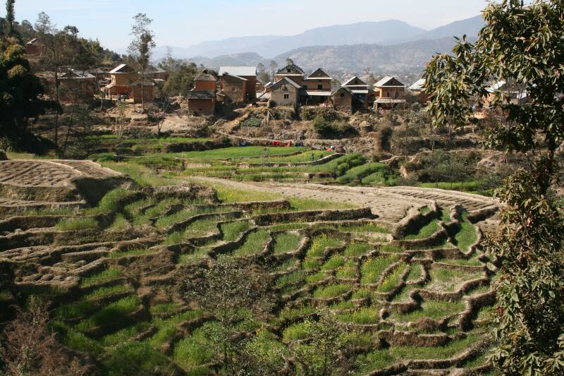 InNep1250.jpg