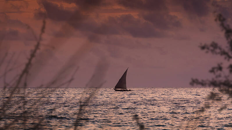Tan3740-1.jpg