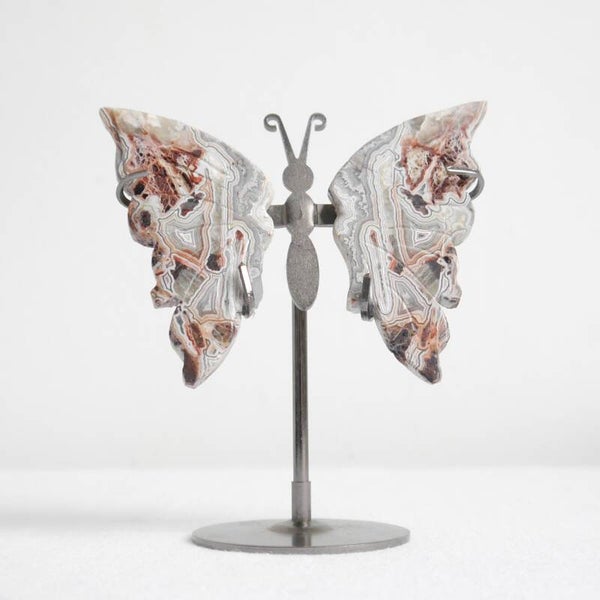 Crazy lace agaat vlinder op standaard