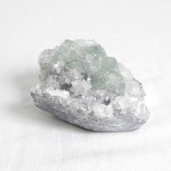 Groene apofyliet cluster