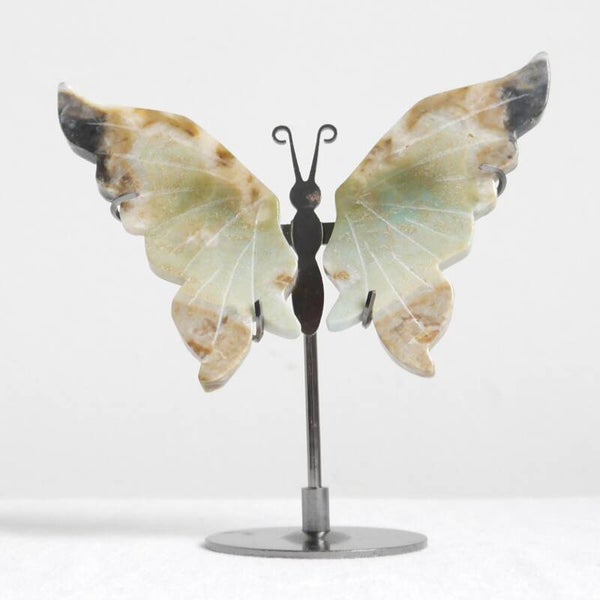 Caribbean calciet vlinder op standaard