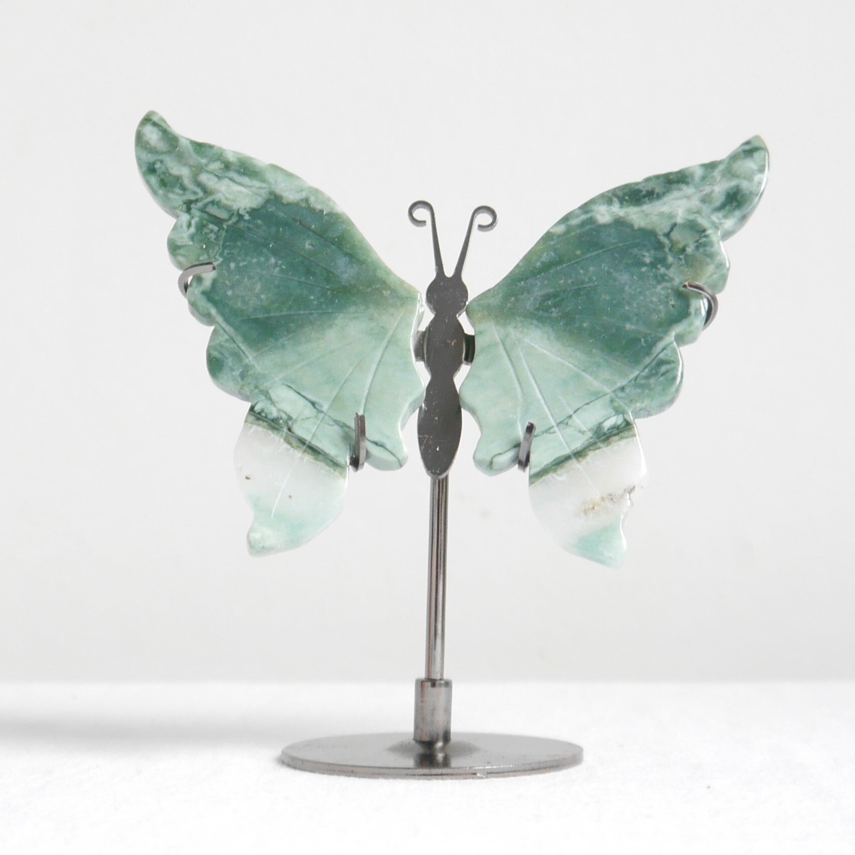 Oceaan Jaspis vlinder op standaard