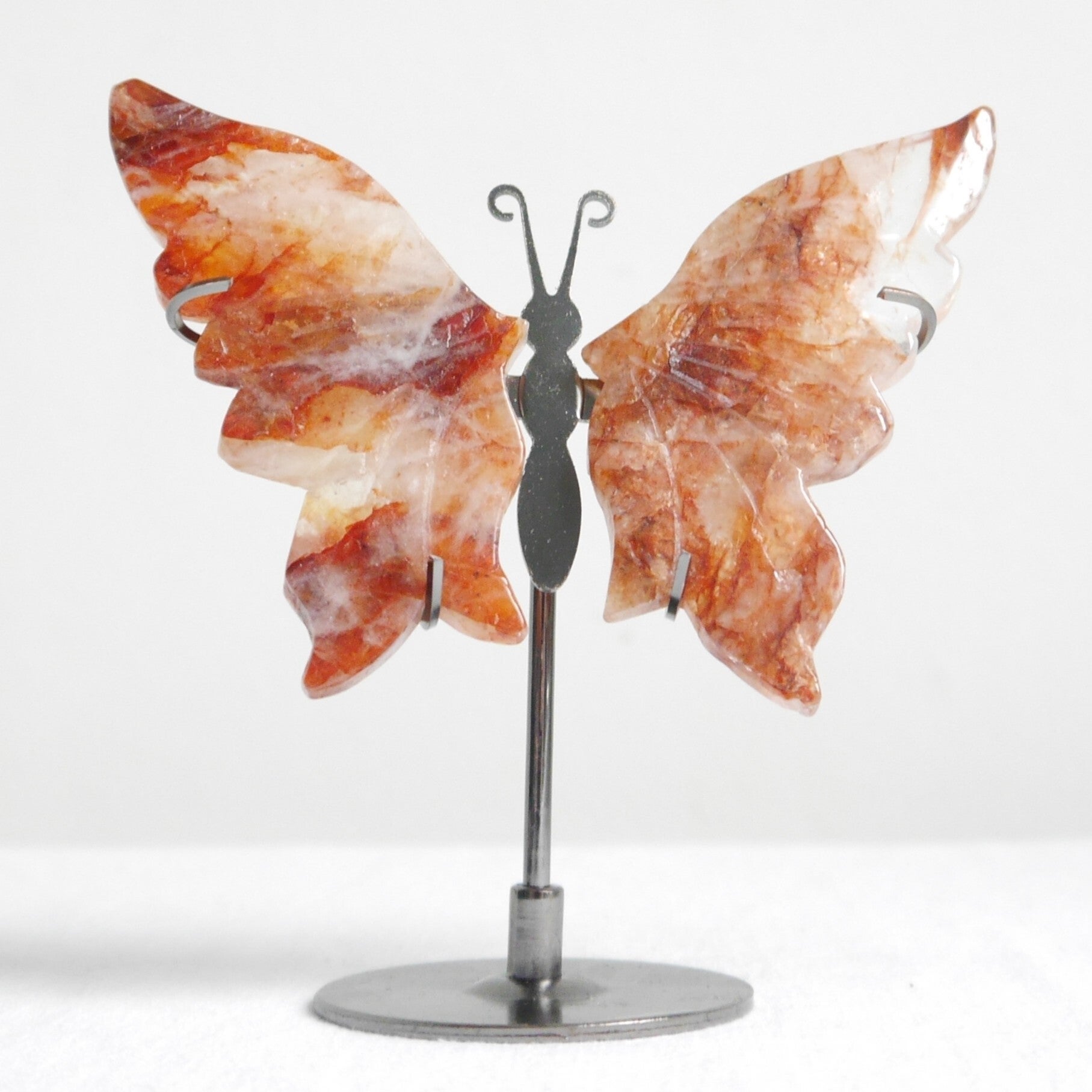 Red healer - Hematiet vlinder op standaard