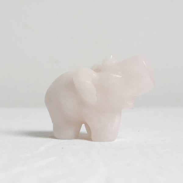 Rozenkwarts olifant
