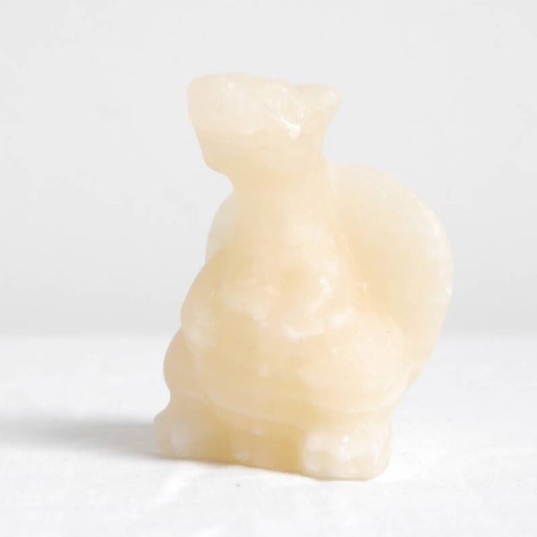 Gele calciet Charizard