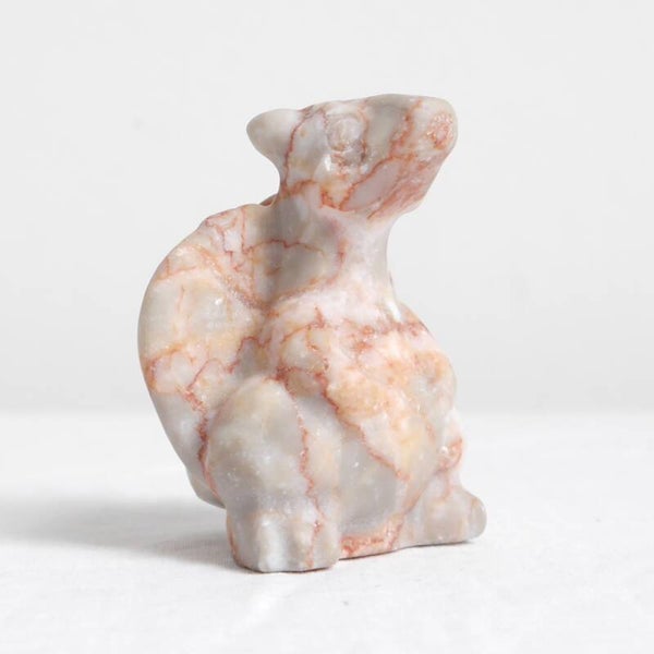 Spinnenweb jaspis Charizard