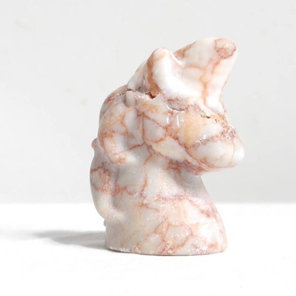 Spinnenweb jaspis eenhoorn