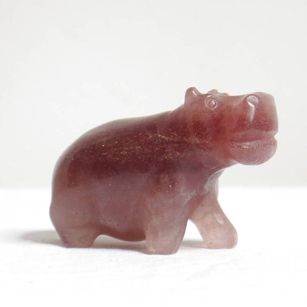Aardbeienkwarts nijlpaard