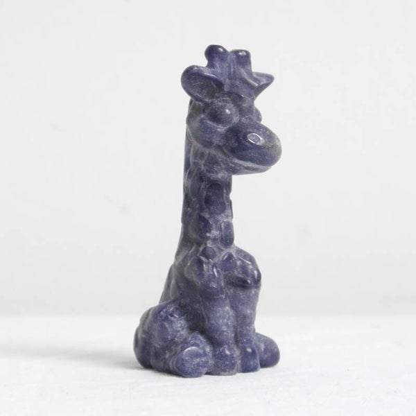Sodaliet giraffe