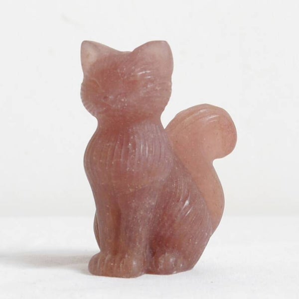 Aardbeienkwarts kat