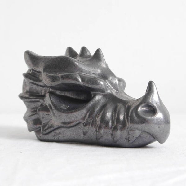Shungiet drakenkop