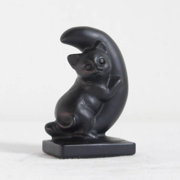 Obsidiaan kat op maan