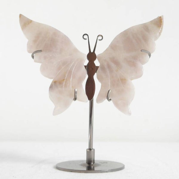 Rozenkwarts vlinder op standaard