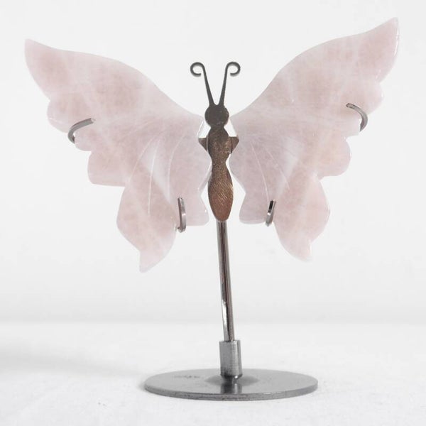 Rozenkwarts vlinder op standaard