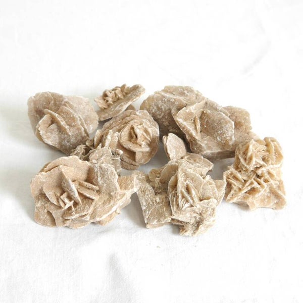 Woestijnroos clusters