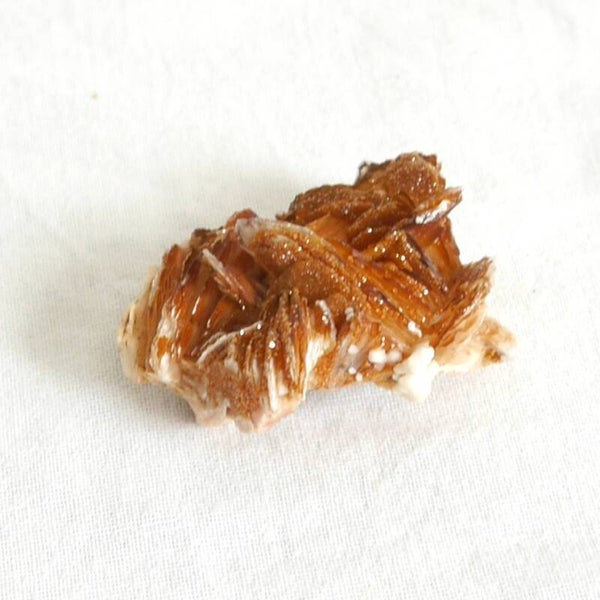 Vanadiniet cluster
