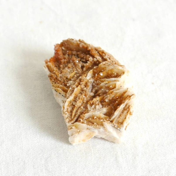 Vanadiniet cluster