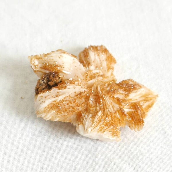 Vanadiniet cluster