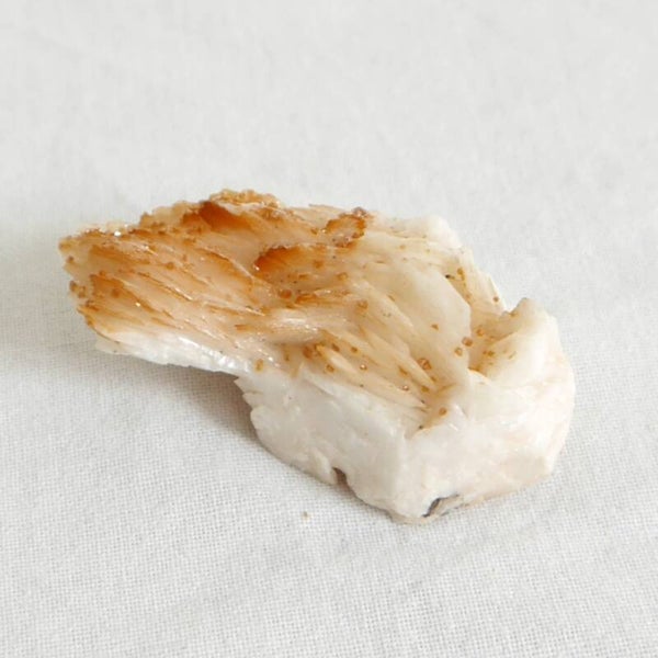 Vanadiniet cluster