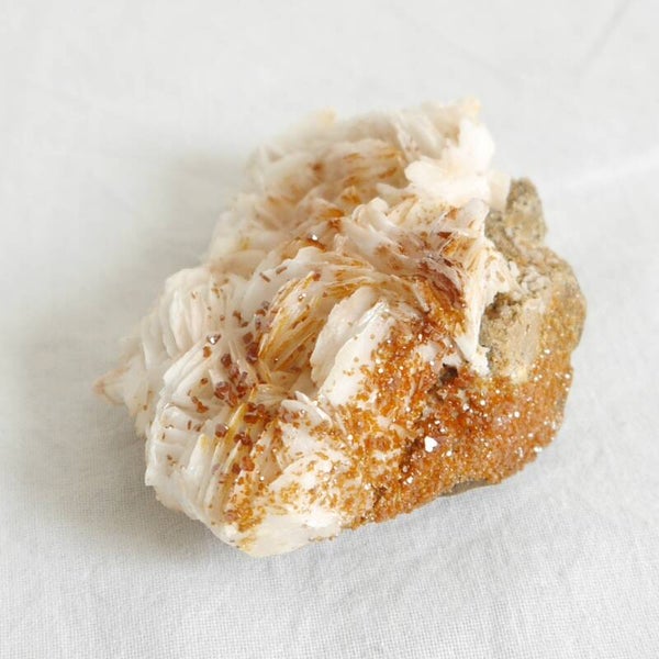 Vanadiniet cluster