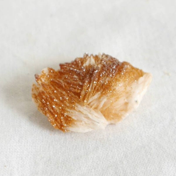 Vanadiniet cluster
